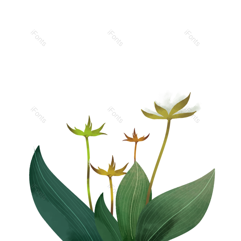 植物插画图片,植物素材元素,PNG,免抠素材